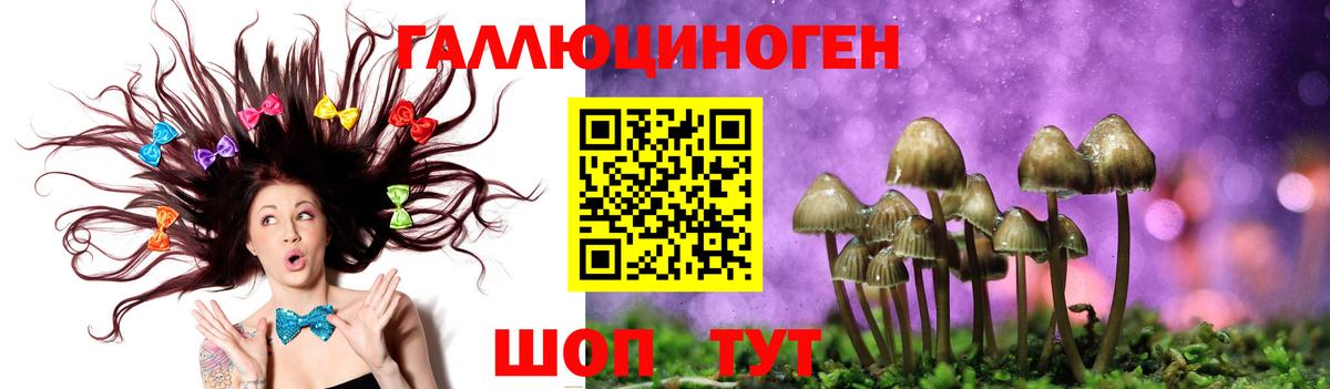 Псилоцибиновые грибы ЛСД  Вход с VPN  Псилоцибиновые грибы Cubensis  Саки 